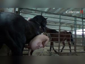 Alisionprod: Erotic Exploration at the Heart of the Zoo