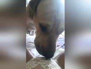 Bestiality and extreme sex: My good boy