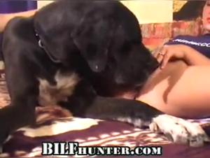 An Intimate Meeting with a Four-Legged Friend