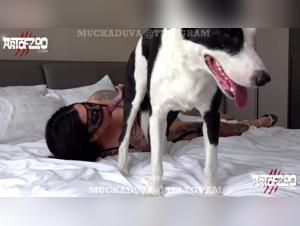 Zoophilia video with Raven and a dog on ArtofZoo