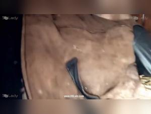 Yasmin and her bestial adventures