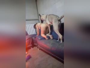 The Lesbian Slut Seduces the Dog