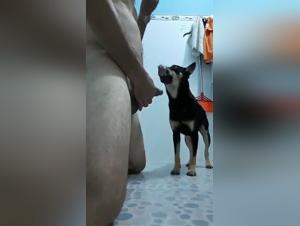 Sex Bestiality: Man and Dog in a Forbidden Encounter