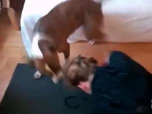 Intimate Video with a Dog