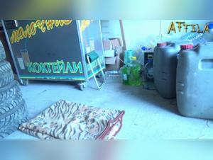 An Intimate Relationship with my Dog