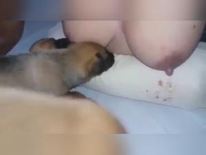 Femme allaitant un chiot dans une vidéo de sexe bestialité choquante