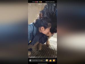 Asian and pig: a video of extreme zoophilia