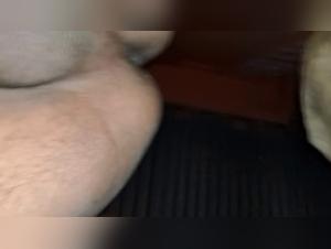 Forbidden Meeting - Sex with a Dog