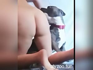 unveiling forbidden cravings