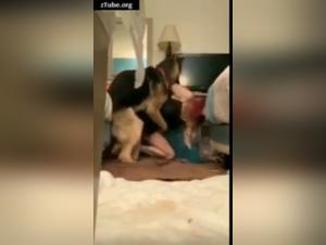 Amateur woman and her dog: a bestiality sex video not to be missed
