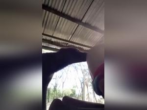 animal porn wife with family dog