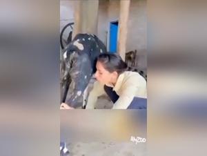 Beating my dog: a journey into the terror and pleasure of sensory experience