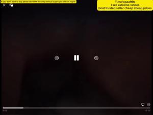 Woman and Dog: A Forbidden Meeting