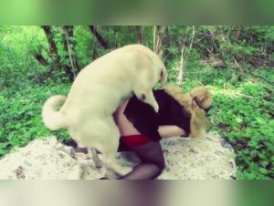 placer prohibido : exploracion animal