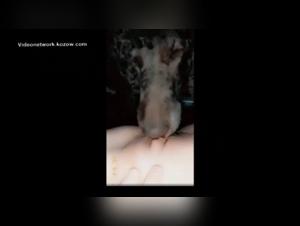 Forbidden Meeting: Woman and Dog