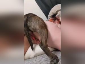 Woman and Dog: A Forbidden Meeting