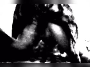 bestiality dog hump knot