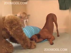 Extreme Zoophilia: Summer Madness