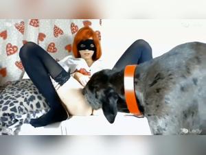 Bestiality scenes: wild and animal sex