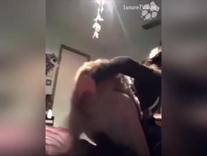 Artzoo Boundaries: Innocence & Desire Explored