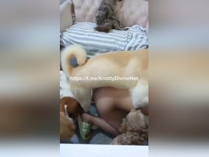 delving into canine forbidden fantasies