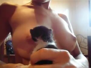 A naughty cat can't resist temptation