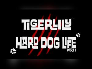 Shocking Dog Encounter: A Bestiality Video Not to Be Missed