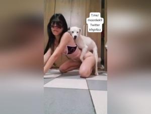 Zoophilia: a female dog subjected to a dog