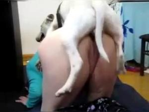 Zoophilia video: a woman and a dog in a bestiality video