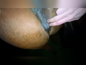 LoveforHorses - Episode 3: An intimate encounter with a mare