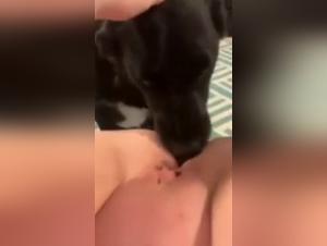 Bestial sex video: a woman and her dog