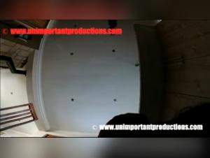 Luna and her canine friend: an intense zoophilia video