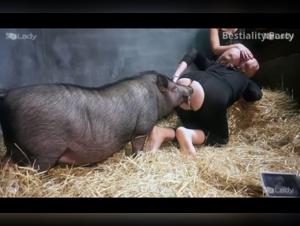 Bestial Encounter: Woman and Pig