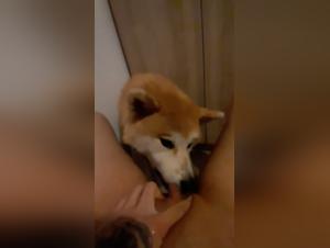 Bestial encounter: woman and dog