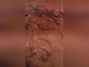 Dirty animal sex for hardcore porn fans only