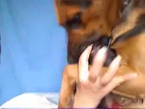 Amateur Wife and Dog - Live Webcam