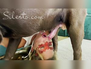 Unveiling the Forbidden: Bestiality Archives