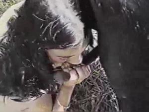 Bestiality: a woman and her horse