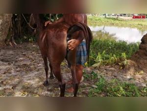 Follando y follando con el puno a una yegua