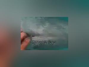 Woman and dolphin: a bestial encounter