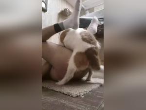 Bestial sex video: Man and dog in shocking scene