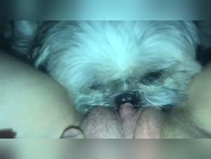 Bestial Encounter: A Woman and Her Dog