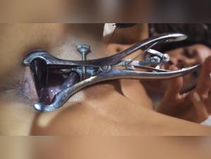 Animal Attraction: A Shocking Encounter - Exclusive Video