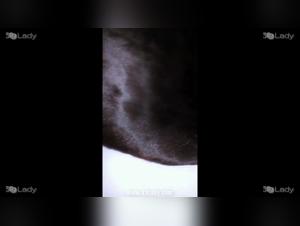 K9Lady Godiva - A Bestial and Intense Adventure with a Dog