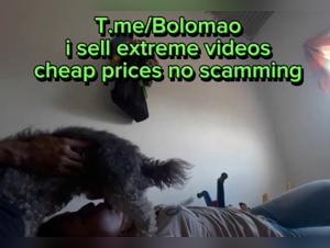 Bestiality sex video: dog submissive to his mistress