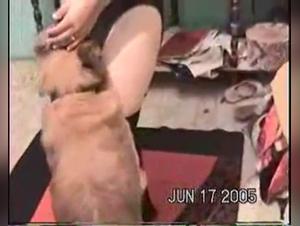 The XXX Delights of Gaby and Canelo on ZTube