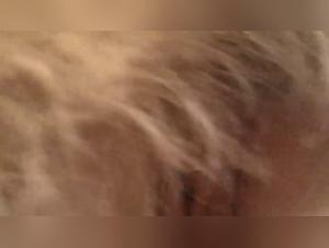 Passionate encounter between a woman and her dog