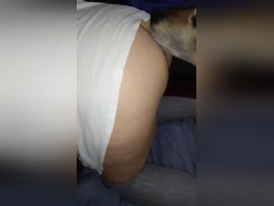 Pushing Boundaries: The Art of Zoophilia