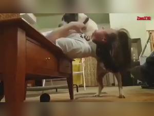 Facefucker with a dog: an extreme zoophilia video
