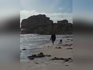 Tine and her dog in a car: a scene of intense zoophilia